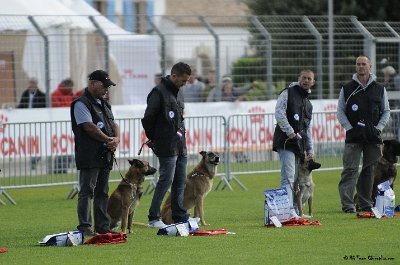 Remise des Prix 058.JPG - CHIENPLUS.COM